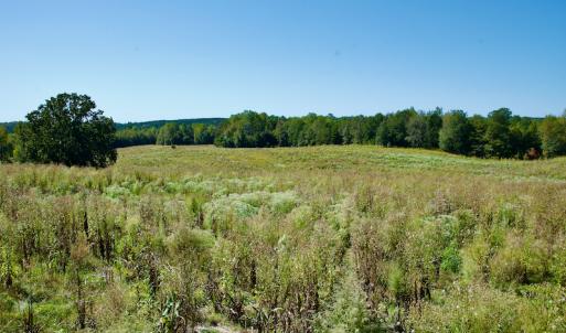 Photo #26 of SOLD property in Off Lowrys Road, Gaffney, SC 579.9 acres