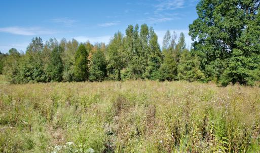 Photo #27 of SOLD property in Off Lowrys Road, Gaffney, SC 579.9 acres
