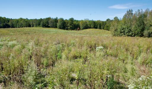 Photo #28 of SOLD property in Off Lowrys Road, Gaffney, SC 579.9 acres