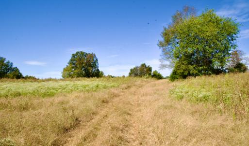 Photo #29 of SOLD property in Off Lowrys Road, Gaffney, SC 579.9 acres