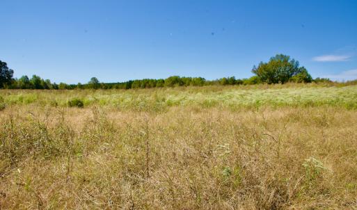 Photo #30 of SOLD property in Off Lowrys Road, Gaffney, SC 579.9 acres
