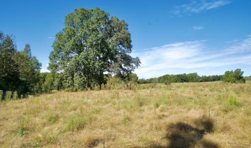 Photo #32 of SOLD property in Off Lowrys Road, Gaffney, SC 579.9 acres