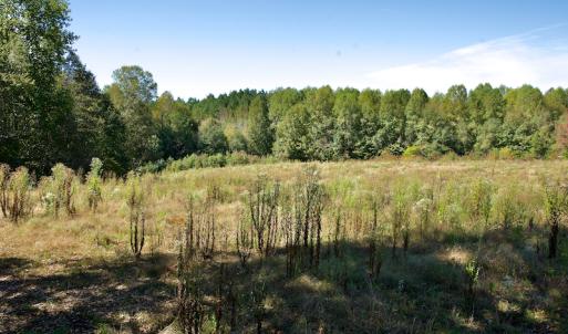 Photo #33 of SOLD property in Off Lowrys Road, Gaffney, SC 579.9 acres