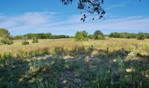 Photo #34 of SOLD property in Off Lowrys Road, Gaffney, SC 579.9 acres