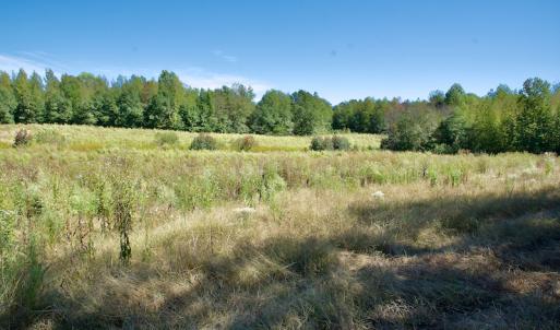 Photo #35 of SOLD property in Off Lowrys Road, Gaffney, SC 579.9 acres