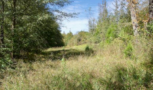 Photo #36 of Off Lowrys Road, Gaffney, SC 579.9 acres