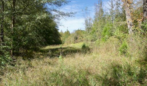 Photo #36 of SOLD property in Off Lowrys Road, Gaffney, SC 579.9 acres