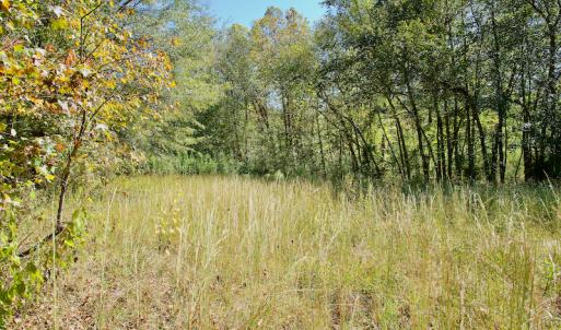 Photo #37 of SOLD property in Off Lowrys Road, Gaffney, SC 579.9 acres