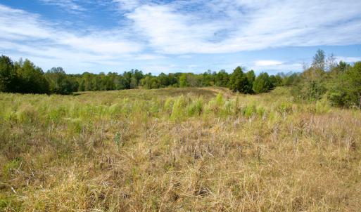 Photo #39 of Off Lowrys Road, Gaffney, SC 579.9 acres