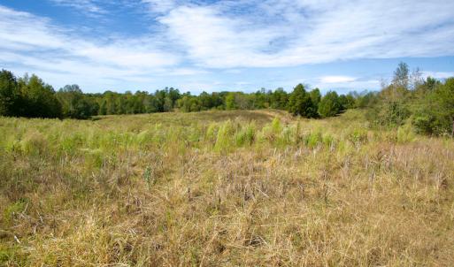 Photo #39 of SOLD property in Off Lowrys Road, Gaffney, SC 579.9 acres