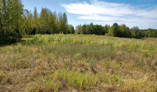 Photo #40 of SOLD property in Off Lowrys Road, Gaffney, SC 579.9 acres