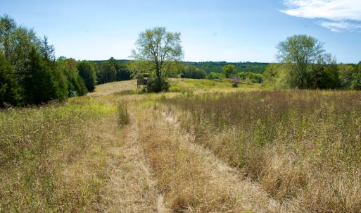 Photo #41 of SOLD property in Off Lowrys Road, Gaffney, SC 579.9 acres