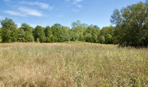 Photo #42 of SOLD property in Off Lowrys Road, Gaffney, SC 579.9 acres