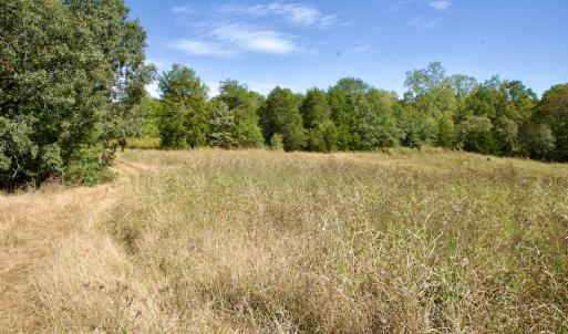 Photo #43 of SOLD property in Off Lowrys Road, Gaffney, SC 579.9 acres