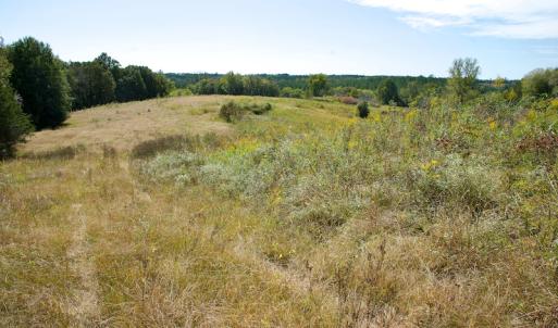Photo #44 of SOLD property in Off Lowrys Road, Gaffney, SC 579.9 acres