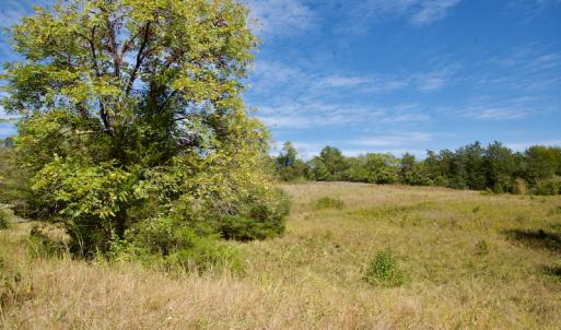 Photo #45 of SOLD property in Off Lowrys Road, Gaffney, SC 579.9 acres