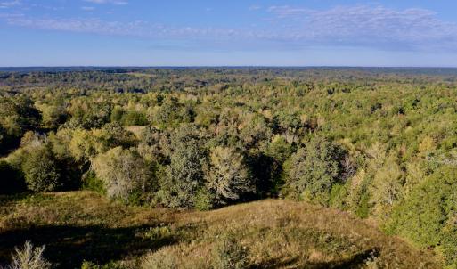 Photo #11 of Off Wilkinsville Hwy (Hwy 105), Gaffney, SC 579.6 acres