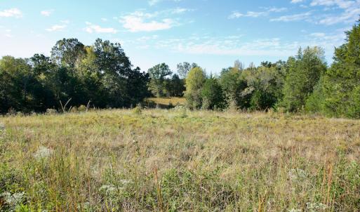 Photo #18 of Off Wilkinsville Hwy (Hwy 105), Gaffney, SC 579.6 acres