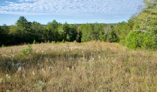 Photo #18 of Off Wilkinsville Hwy (Hwy 105), Gaffney, SC 579.6 acres