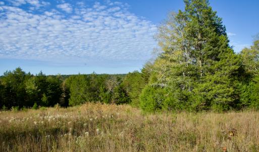 Photo #20 of Off Wilkinsville Hwy (Hwy 105), Gaffney, SC 579.6 acres