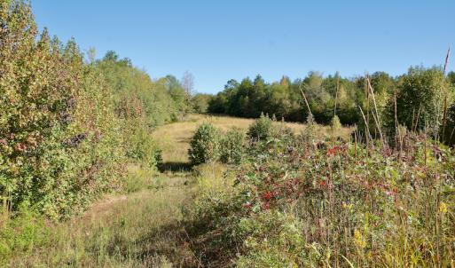 Photo #20 of Off Wilkinsville Hwy (Hwy 105), Gaffney, SC 579.6 acres