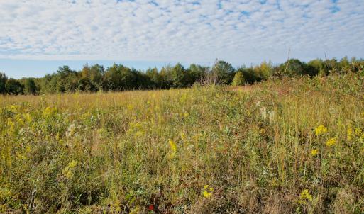 Photo #21 of Off Wilkinsville Hwy (Hwy 105), Gaffney, SC 579.6 acres