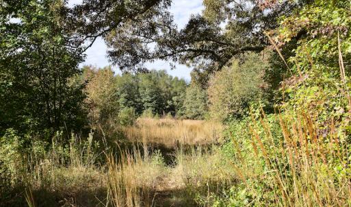 Photo #22 of Off Wilkinsville Hwy (Hwy 105), Gaffney, SC 579.6 acres