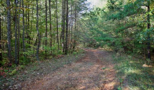 Photo #24 of Off Wilkinsville Hwy (Hwy 105), Gaffney, SC 579.6 acres