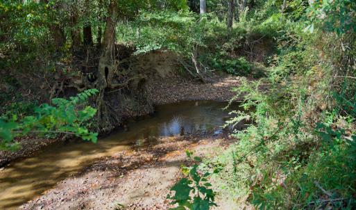 Photo #26 of Off Wilkinsville Hwy (Hwy 105), Gaffney, SC 579.6 acres