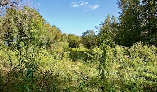 Photo #28 of Off Wilkinsville Hwy (Hwy 105), Gaffney, SC 579.6 acres