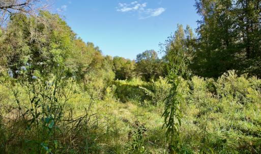 Photo #27 of Off Wilkinsville Hwy (Hwy 105), Gaffney, SC 579.6 acres