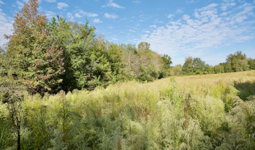 Photo #28 of Off Wilkinsville Hwy (Hwy 105), Gaffney, SC 579.6 acres