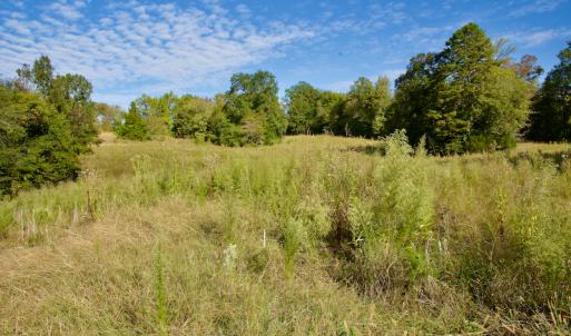 Photo #30 of Off Wilkinsville Hwy (Hwy 105), Gaffney, SC 579.6 acres