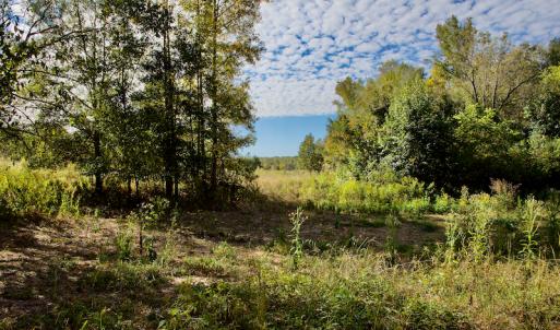 Photo #30 of Off Wilkinsville Hwy (Hwy 105), Gaffney, SC 579.6 acres