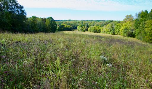 Photo #32 of Off Wilkinsville Hwy (Hwy 105), Gaffney, SC 579.6 acres