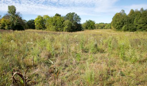 Photo #33 of Off Wilkinsville Hwy (Hwy 105), Gaffney, SC 579.6 acres