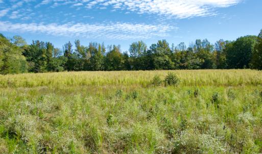 Photo #34 of Off Wilkinsville Hwy (Hwy 105), Gaffney, SC 579.6 acres