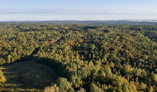 Photo #4 of Off Wilkinsville Hwy (Hwy 105), Gaffney, SC 579.6 acres