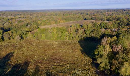 Photo #8 of Off Wilkinsville Hwy (Hwy 105), Gaffney, SC 579.6 acres