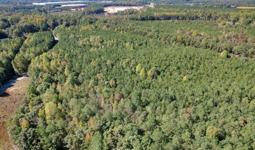 Photo #10 of Off Dry Bridge Road, Ruther Glen , VA 27.8 acres