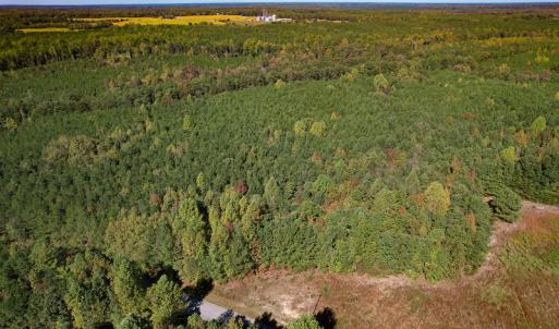 Photo #11 of Off Dry Bridge Road, Ruther Glen , VA 27.8 acres