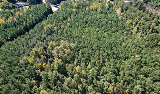 Photo #12 of Off Dry Bridge Road, Ruther Glen , VA 27.8 acres