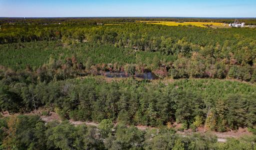 Photo #13 of Off Dry Bridge Road, Ruther Glen , VA 27.8 acres