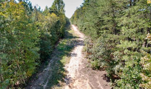 Photo #16 of Off Dry Bridge Road, Ruther Glen , VA 27.8 acres