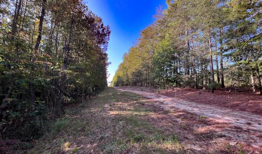 Photo #17 of Off Dry Bridge Road, Ruther Glen , VA 27.8 acres