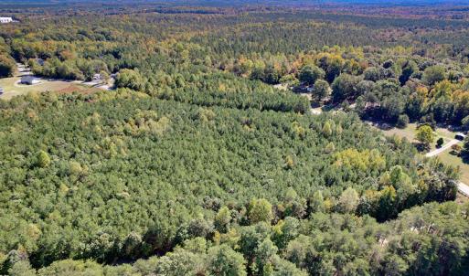 Photo #19 of Off Dry Bridge Road, Ruther Glen , VA 27.8 acres