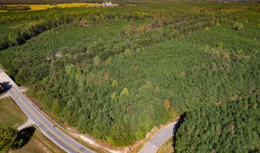Photo #2 of Off Dry Bridge Road, Ruther Glen , VA 27.8 acres
