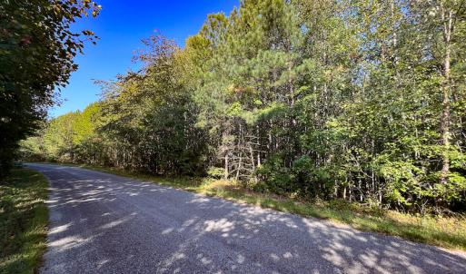 Photo #4 of Off Dry Bridge Road, Ruther Glen , VA 27.8 acres