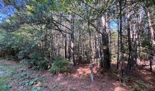 Photo #5 of Off Dry Bridge Road, Ruther Glen , VA 27.8 acres