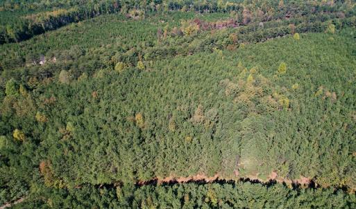 Photo #8 of Off Dry Bridge Road, Ruther Glen , VA 27.8 acres
